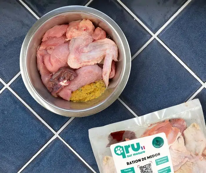Gamelle barf pour chien rempli d'ailes de poulet et de viande de dinde.
