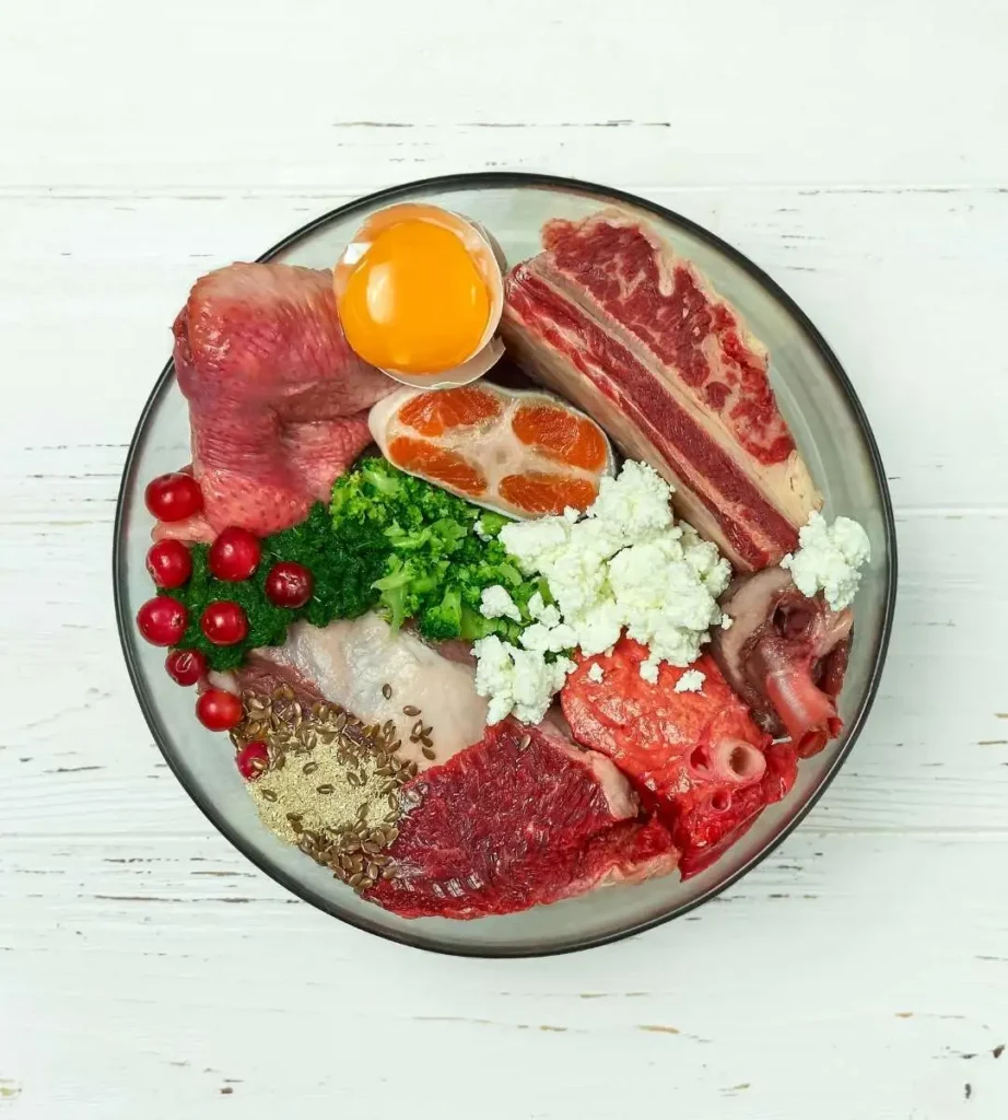 Gamelle contenant une recette BARF équilibré