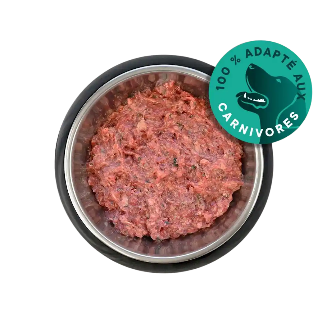 Repas cru haché pour chien dans une gamelle.