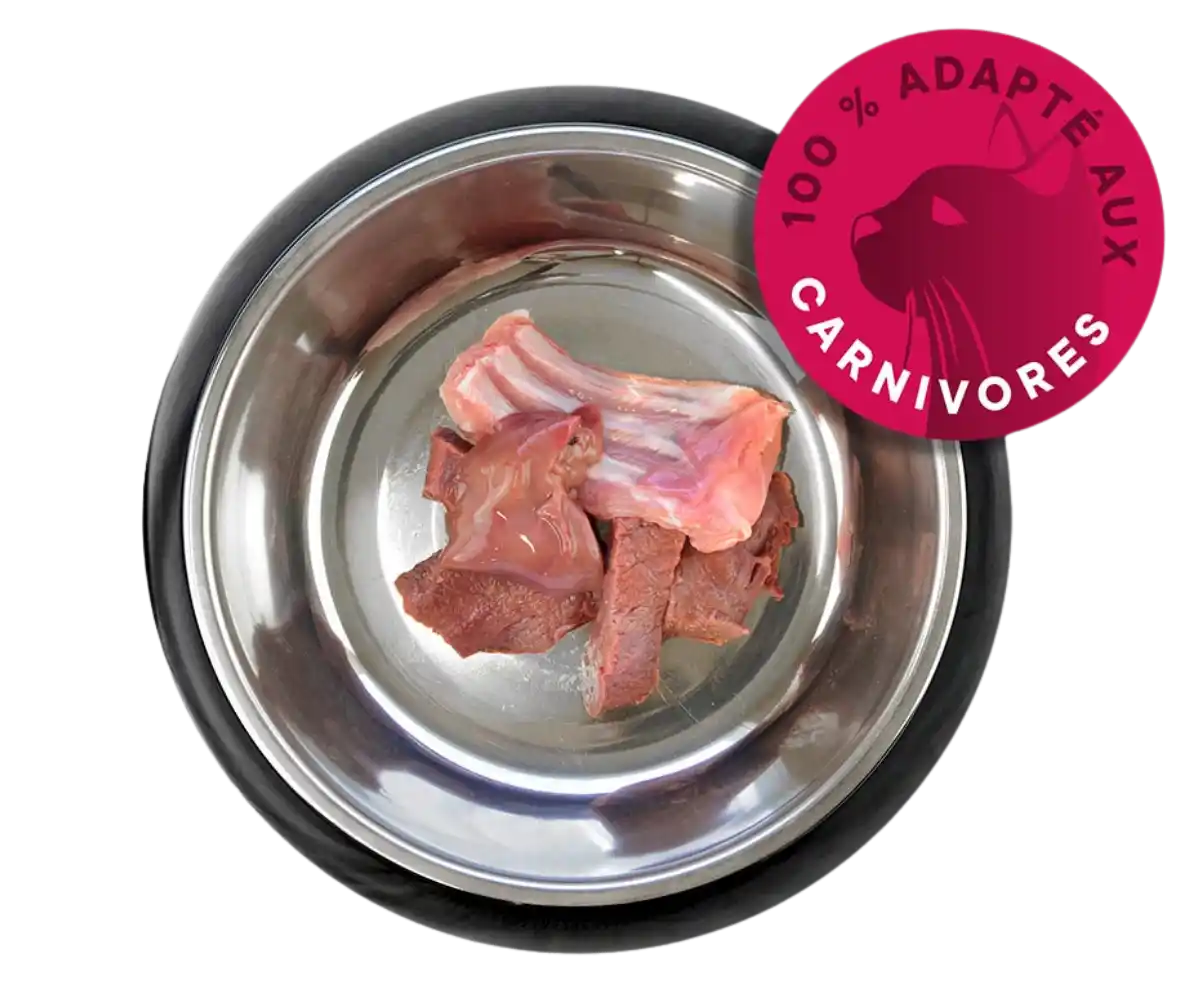 Repas BARF morceaux pour chat dans une gamelle.