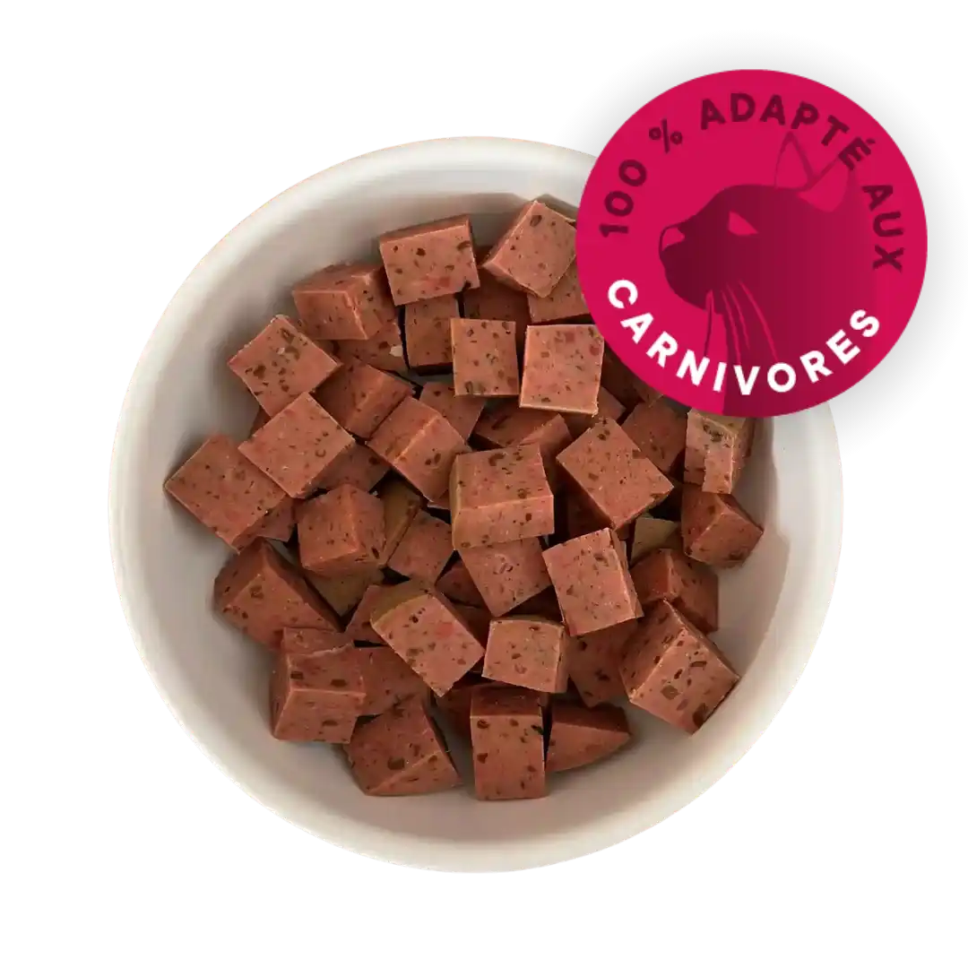 Bol rempli de saucisson pour chat en morceaux.