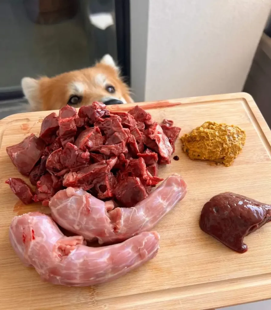 Plateau de viande en morceaux avec un chien juste derrière qui le regarde avec appétit.