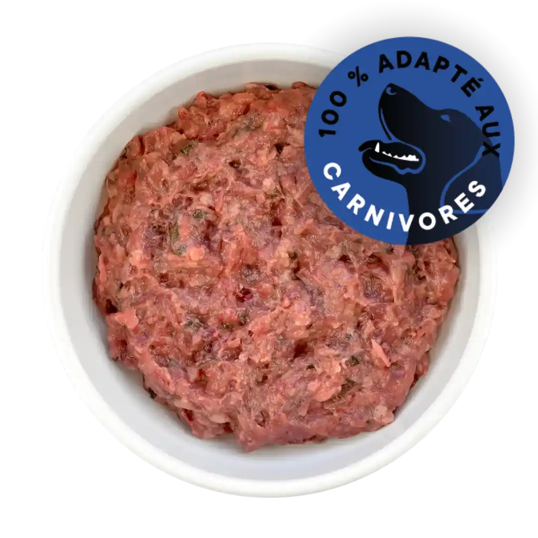 Gamelle rempli de barf haché pour chien.