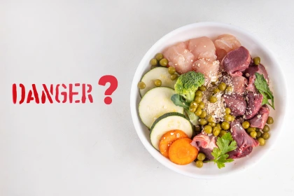 Ration BARF crue en gamelle avec la mention « DANGER ? »