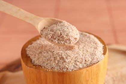 psyllium pour chien