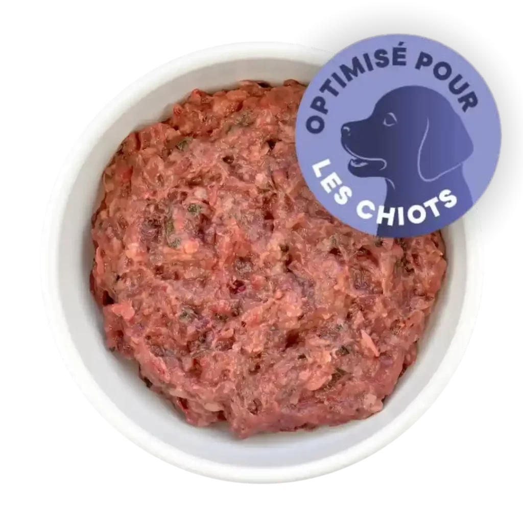 Gamelle remplie de BARF haché pour chiot.