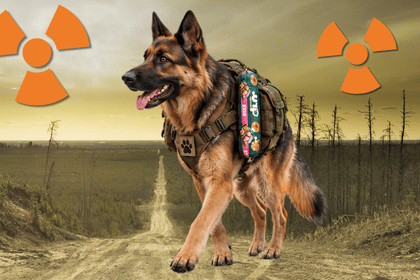 Chien survivant avec des icônes apocalypse