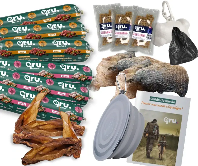 visuels web kit de survie Pack halloween contenant : 6 repas saucissons, 200 grammes de peau de carpe, 300 grammes de cube de dinde, 1 kit de survie, 1 gamelle nomade, 1 distributeur de sacs à crottes et 5 oreilles de bœuf